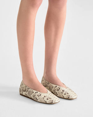 CLASSIC REGENCY / ROCCIA