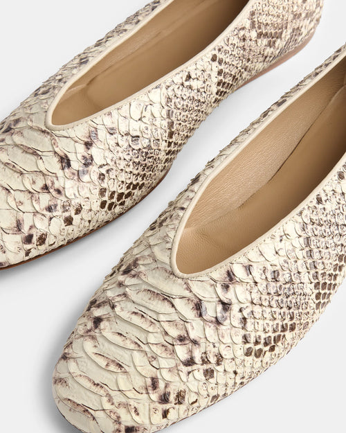 CLASSIC REGENCY / ROCCIA