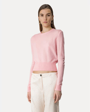 CASHMERE WOOL ROUNDNECK SWEATER / ROSE