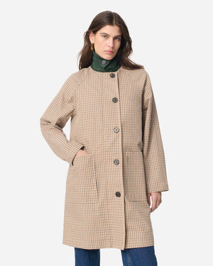 GLYNIS TRENCH / MULTICOLORE