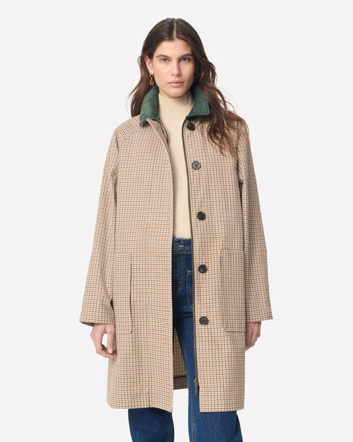 GLYNIS TRENCH / MULTICOLORE