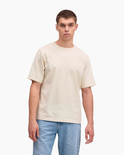 JETT SS PRINT T-SHIRT 30026 / IVORY