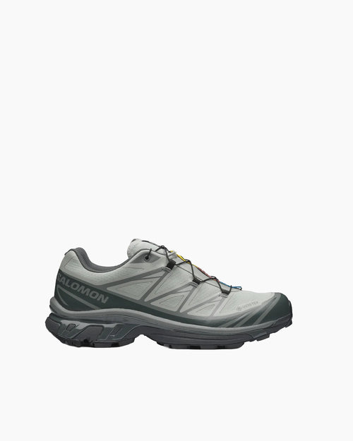 XT-6 GTX / WROUGHT IRON / URBAN CHIC / SEDONA SAGE