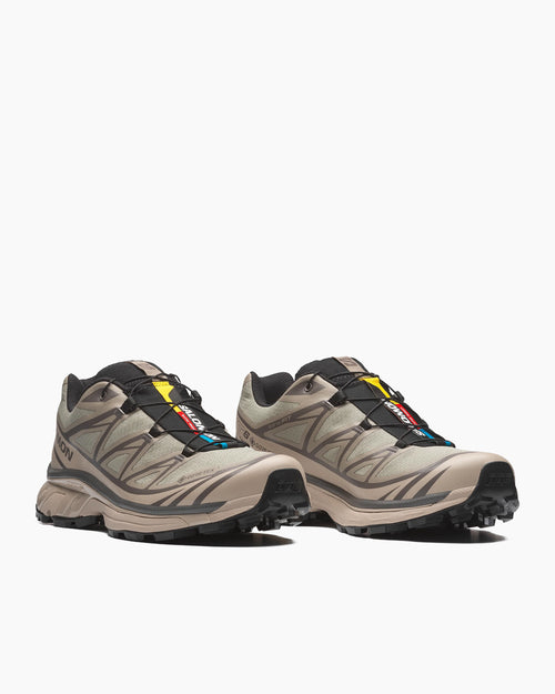 XT-6 GORE-TEX / WHITE PEPPER / SILVER SAGE