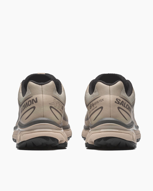 XT-6 GORE-TEX / WHITE PEPPER / SILVER SAGE