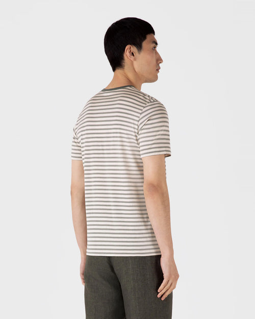 CLASSIC CREW NECK T-SHIRT / UNDYED/DUSK GREEN VINTAGE STRIPE