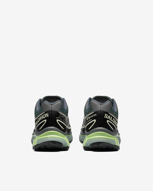 XT-6 GTX / URBAN CHIC / BLACK / LIME CREAM